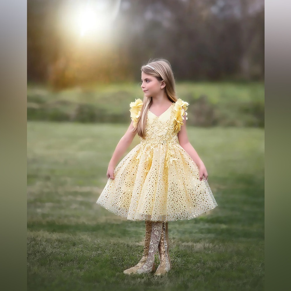 NWOT Trish Scully Natalia Dress Sunshine Sz 2T $110 orig. 3D yellow lace Easter